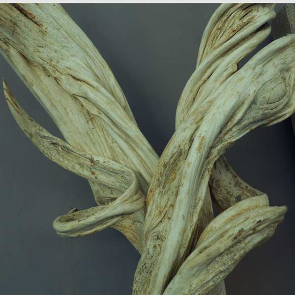 Liana Sculpture