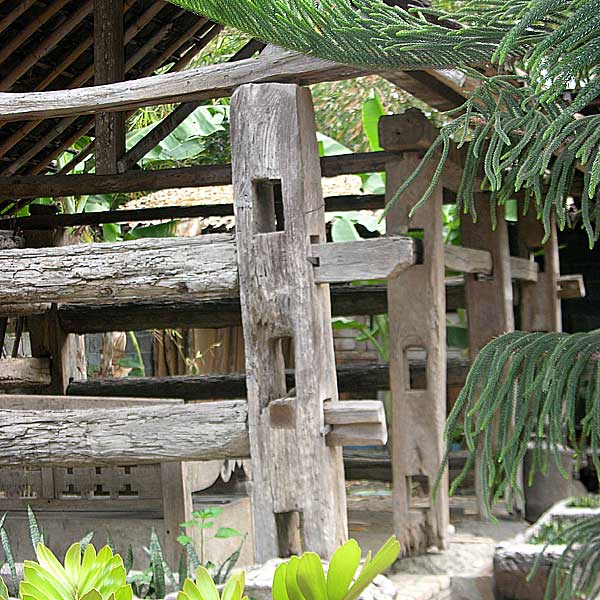 Buffalo Wood